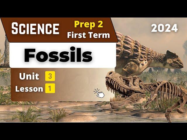 Fossils | Prep.2 | Unit 3 - Lesson 1 | Science