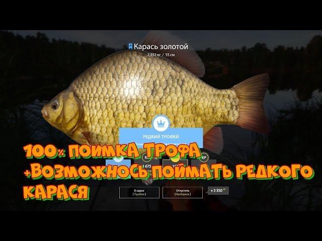 ТРОФЕЙНЫЕ КАРАСИ ЛЕТЯТ КАК ИЗ ПУЛЕМЁТА!! + РЕДКИЙ  #русскаярыбалка4 #карась #ладожскоеозеро