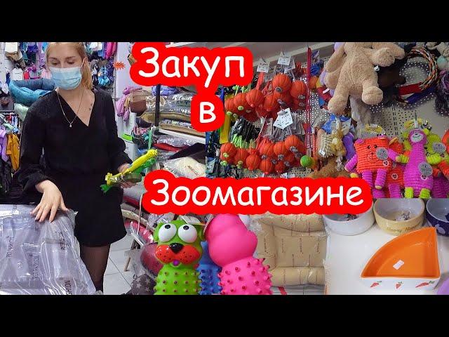 Большой закуп в зоомагазине