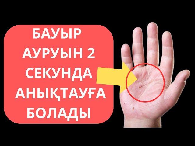 БАУЫР ауыратынын 2 секундта тез тексер. Бауыр ауруы белгилери