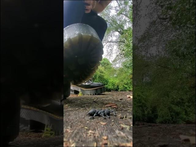 Stomping an ant with my doc marten boots