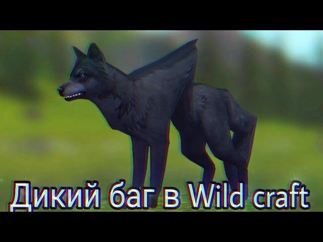 ДИКИЙ БАГ В WILD CRAFT // Баги Wild craft #2