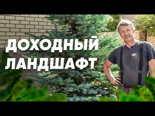 ДОХОДНЫЙ ЛАНДШАФТ. Как заработать на ландшафтном дизайне?