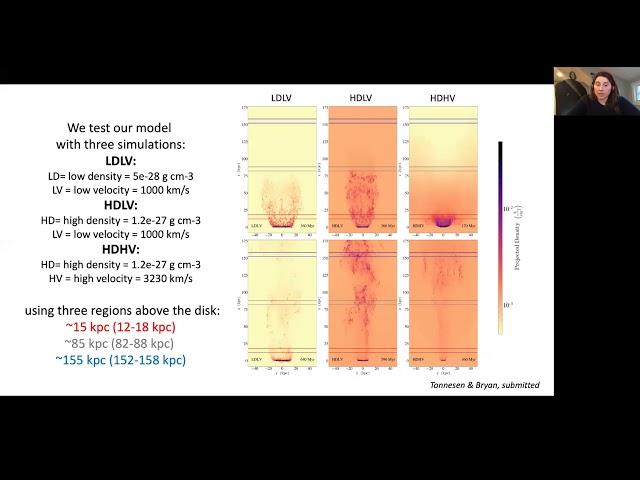 Mixing Drives the Acceleration of Clouds from Ram Pressure Stripped Galaxies - Stephanie Tonnesen