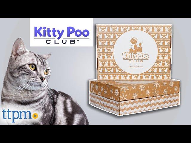 Kitty Poo Club Litter Box Assembly & Review 2021 | TTPM Pet Review