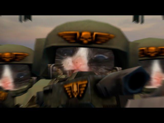 Felinids Breakthrough