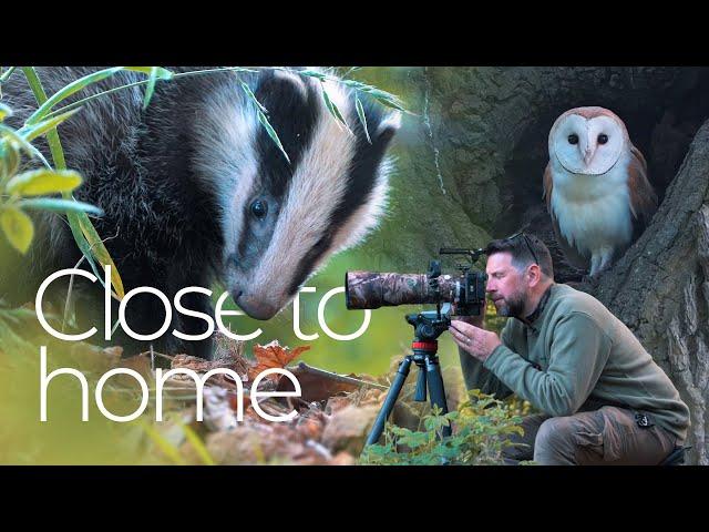 Close to home - Wildlife film-making on your doorstep