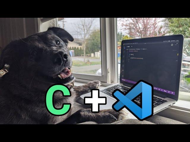 How to program in C using Visual Studio Code | Debugging, Intellisense, Linting TIPS