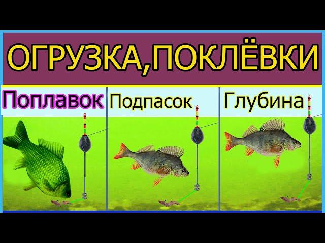 Float rod, rigging, depth, depth, how the fish bite, waterline, load