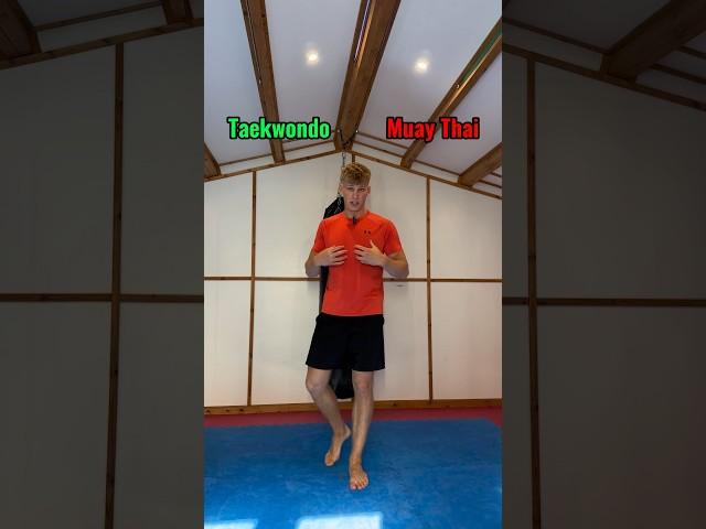 Taekwondo VS Muay Thaiwhich one you choosing?