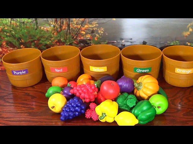 Learn Colors with Fruits & Veggies!