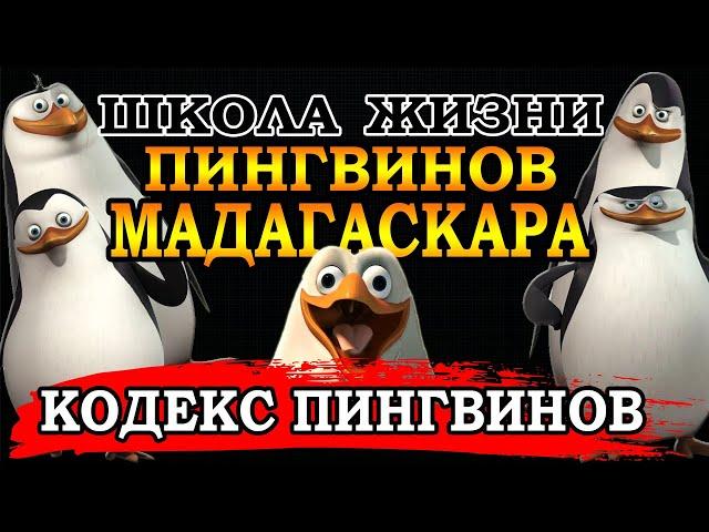 ШКОЛА ЖИЗНИ ОТ ПИНГВИНОВ МАДАГАСКАРА (переозвучка)