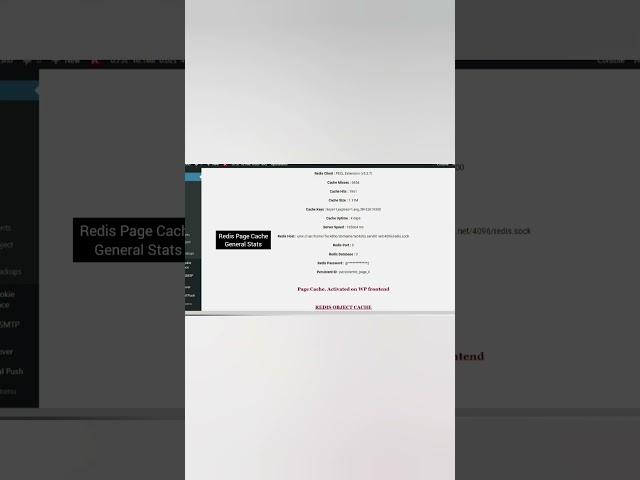 WordPress Cache Plugin • Redis Page Object Cache #4 #review