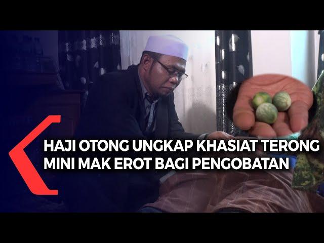 Haji Otong Ungkap Khasiat Terong Mini Mak Erot Bagi Pengobatan Alat Vital Pria