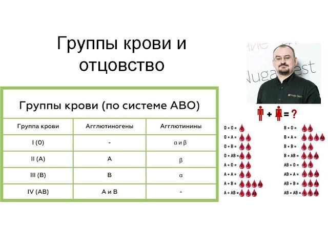 Определение отцовства по группам крови родителей