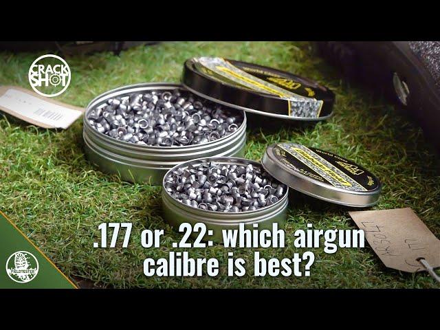 Which airgun calibre? .22 or .177