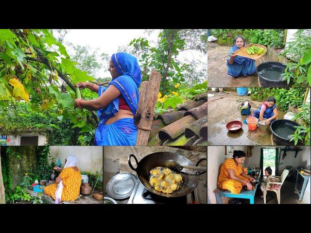 My kitchen garden vegetablesलो जी घर के एक खर्च में कमी आ गई|| नेनुआ के पकौड़े||