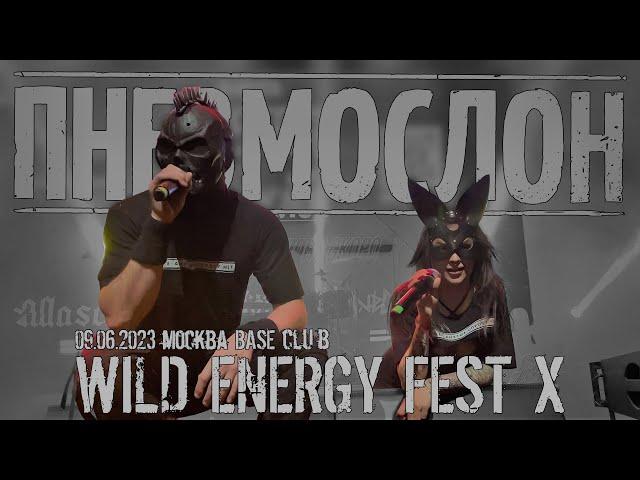 ПНЕВМОСЛОН - 09.06.2023 Wild Energy Fest X (Москва,"BASE club") live