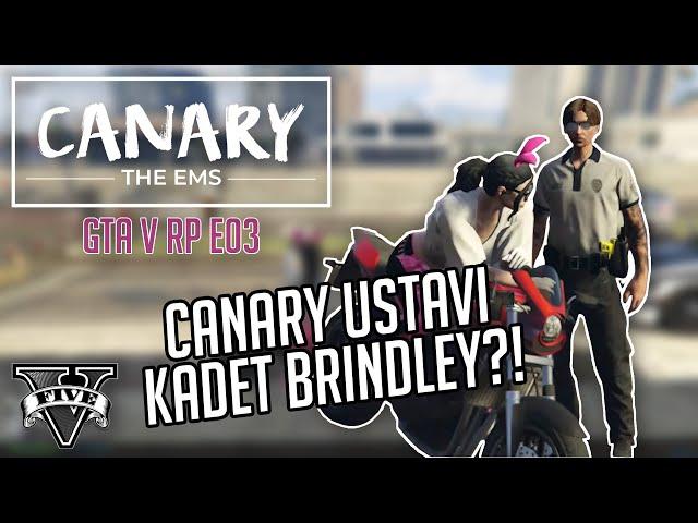 GTA RP | PULLED OVER BY CADET BRINDLEY!! | CANARY THE EMS #03