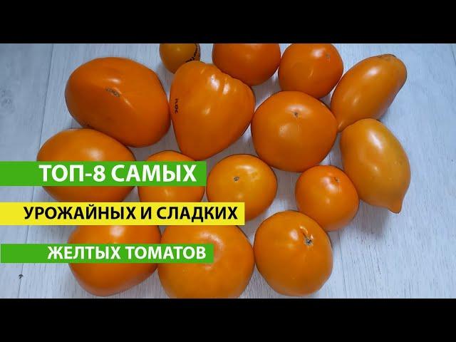 ТОП 8 Самые урожайные ЖЕЛТЫЕ ТОМАТЫ с потрясающим вкусом, ЛУЧШИЕ СЕЗОНЕ