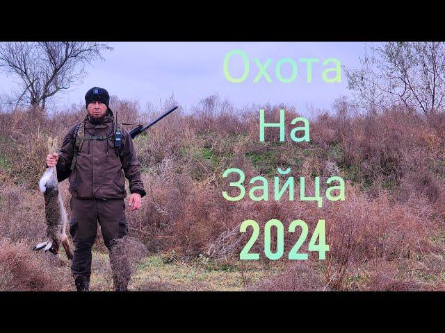 ТАКОГО у меня никогда не было   ОХОТА НА ЗАЙЦА сезон 2024-2025 охота в ЧЕЧНЕ #чечня #hunting#охота