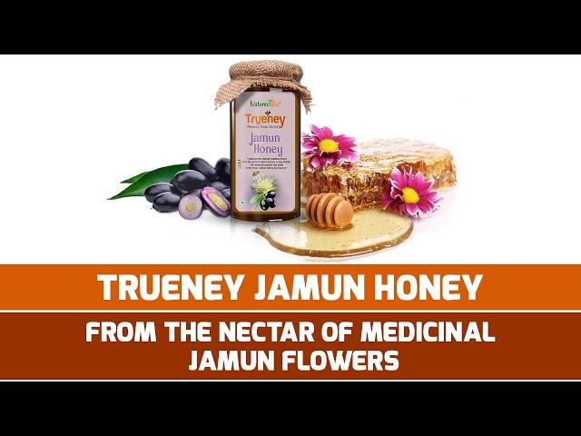 Jamun honey | Trueney | Natures Box | Pure honey | Natural honey | 100% pure and natural honey