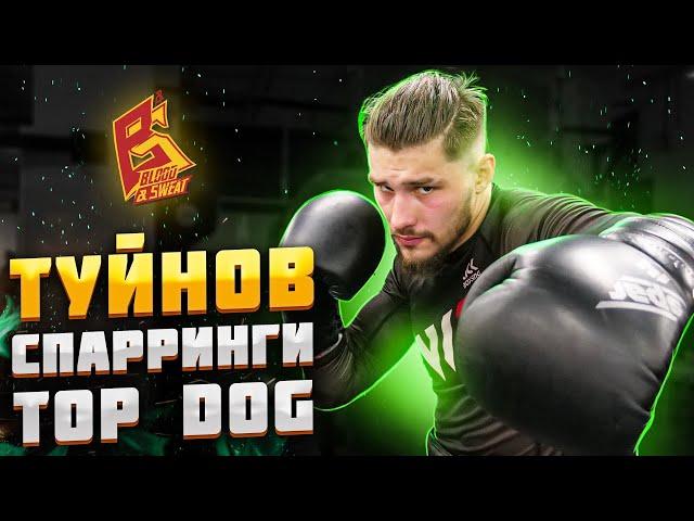 Туйнов показал класс на спаррингах в Top Dog / Влад Туйнов подготовка к бою с Павлом Шелестом