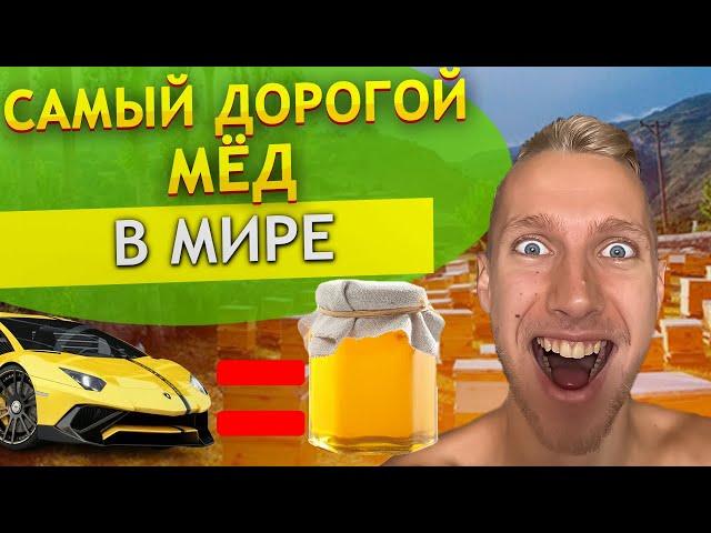 Мед по цене ЛАМБОРГИНИ ! Самый ДОРОГОЙ и ЦЕЛЕБНЫЙ мед в мире ? Эльфийский мед с Турции наилучший ?