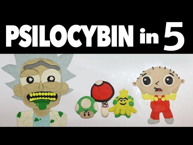 Psilocybin Mushrooms in 5 Minutes
