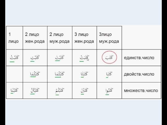 № 23. Спряжение трехбуквенного правильного глагола в прошедшем времени