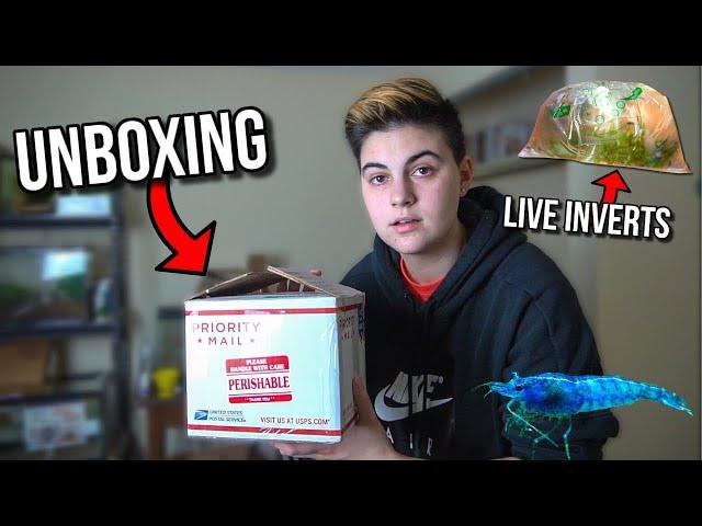 Unboxing LIVE INVERTS From ONLINE FISH STORE For My AQUARIUM!!