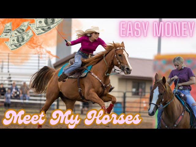 Meet My Horses - Easy Money