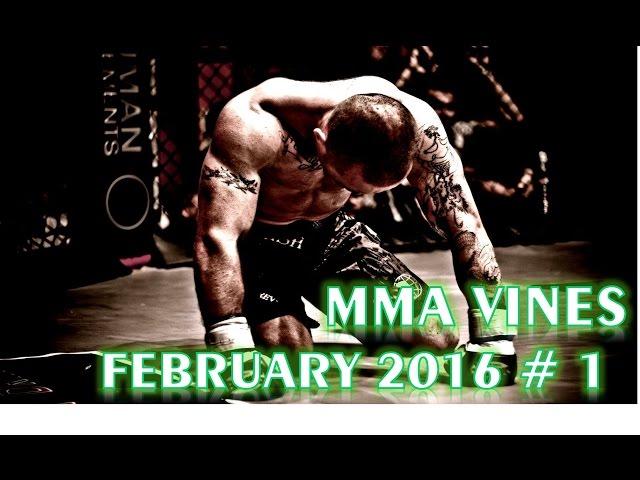 Best MMA and UFC Vines 2016 Compilation - New Fight Vines Beat Drops