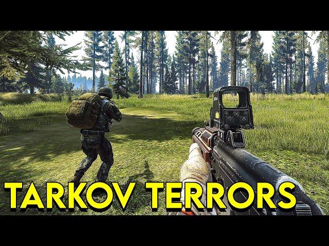 Terrorizing Tarkov Players in Woods