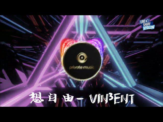 想自由（VIN3ENT Remix）