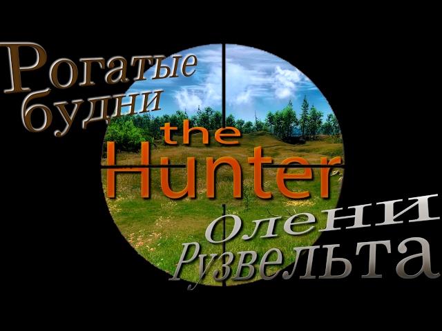 the Hunter. Рогатые будни. №3: "Олени Рузвельта"