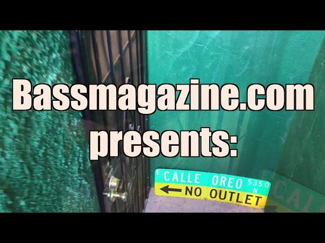 Bass Whisperer Live ! From Johnny's Basement