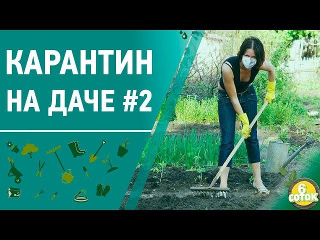 Карантин на даче #2. 6 соток 06.04.2020