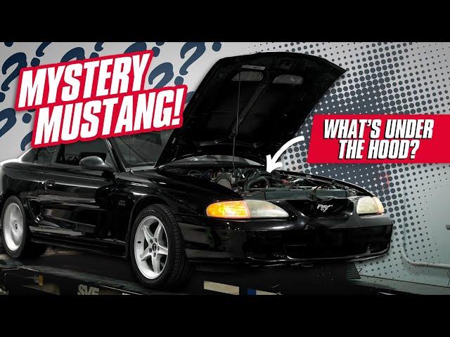 Stroker 302?! Mystery Modded 1995 Mustang GTS Hits the Dyno!