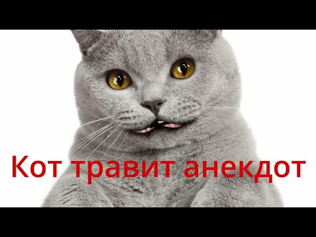 Анекдот про член и попугая