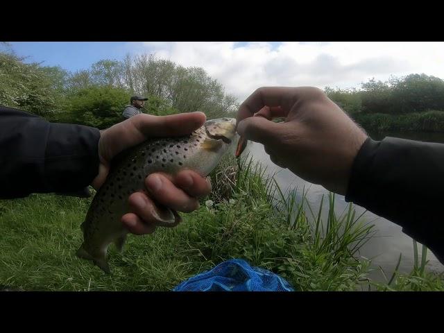 Tsurinoya Ultra Light Rod Trout Fishing