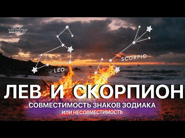 ЛЕВ И СКОРПИОН СОВМЕСТИМОСТЬ ЗНАКОВ ЗОДИАКА