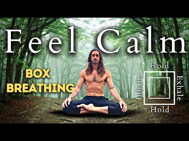 5 Minute Guided Box Breathing For Stress & Anxiety I Alt Version (Pranayama)