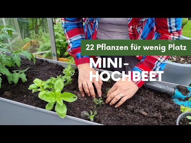 Mini-Hochbeet in Mischkultur - 22 Pflanzen auf kleinstem Raum