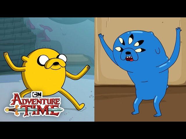 Evolution of Jake | Adventure Time | Cartoon Network