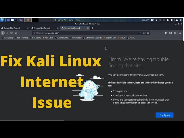 Fix Kali Linux Internet Connection Issue | Kali Linux Network Not Working