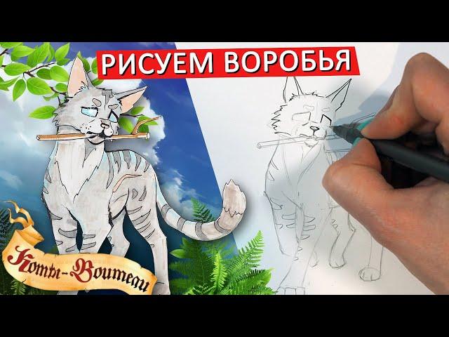 КАК НАРИСОВАТЬ КОТА ВОРОБЬЯ ИЗ КОТОВ ВОИТЕЛЕЙ, по схеме