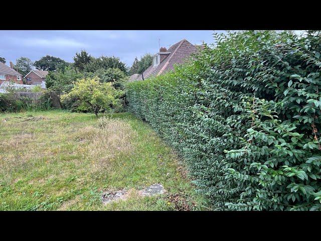 Continuing the Tidy of my Grandma’s Overgrown Garden!