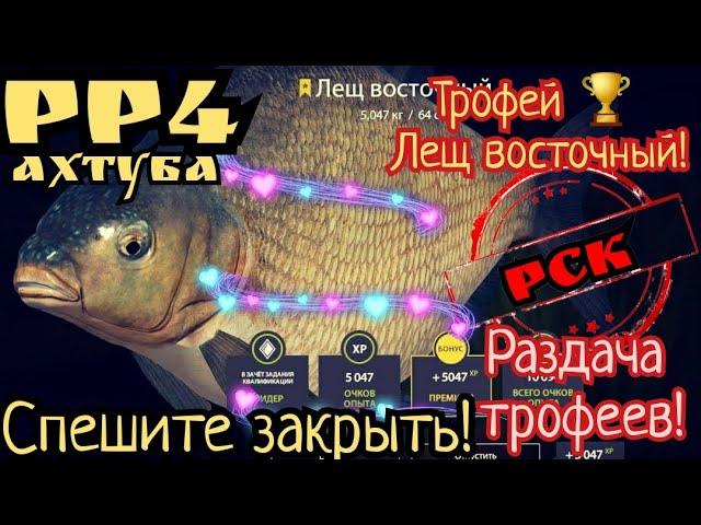 РР4. Раздача Трофеев Леща Восточного на Ахтубе! Где и на что!? 4 часа реальной ловли!