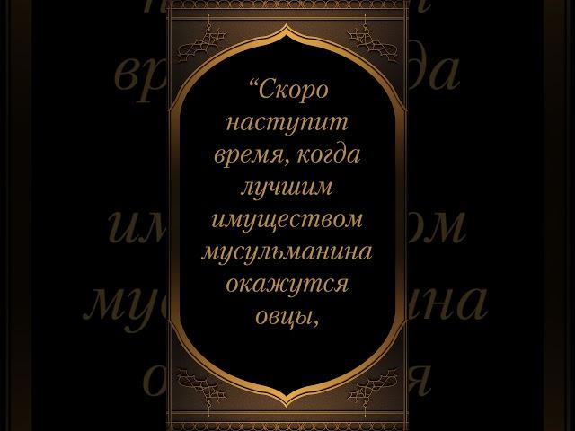 Сахих аль-Бухари صحيح البخاري (Книга Имана, Хадис №19)  #хадисы #ислам #аскетизм